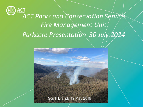 bushfire