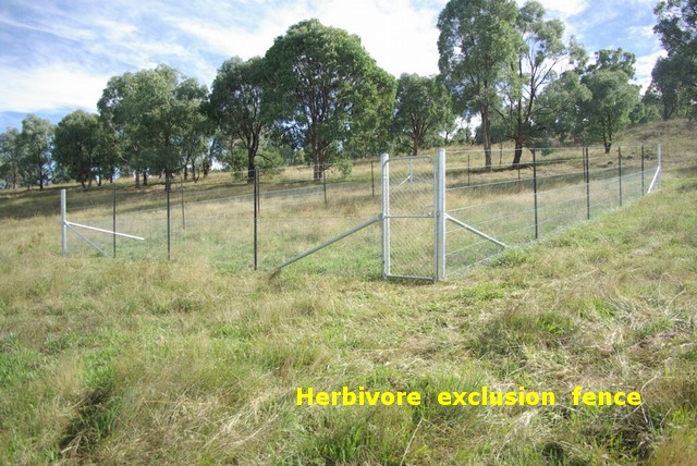 fenced plot