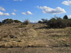 noticeboard entrance