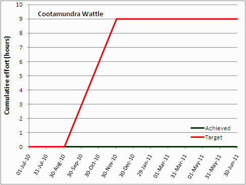 Cootamundra Wattle